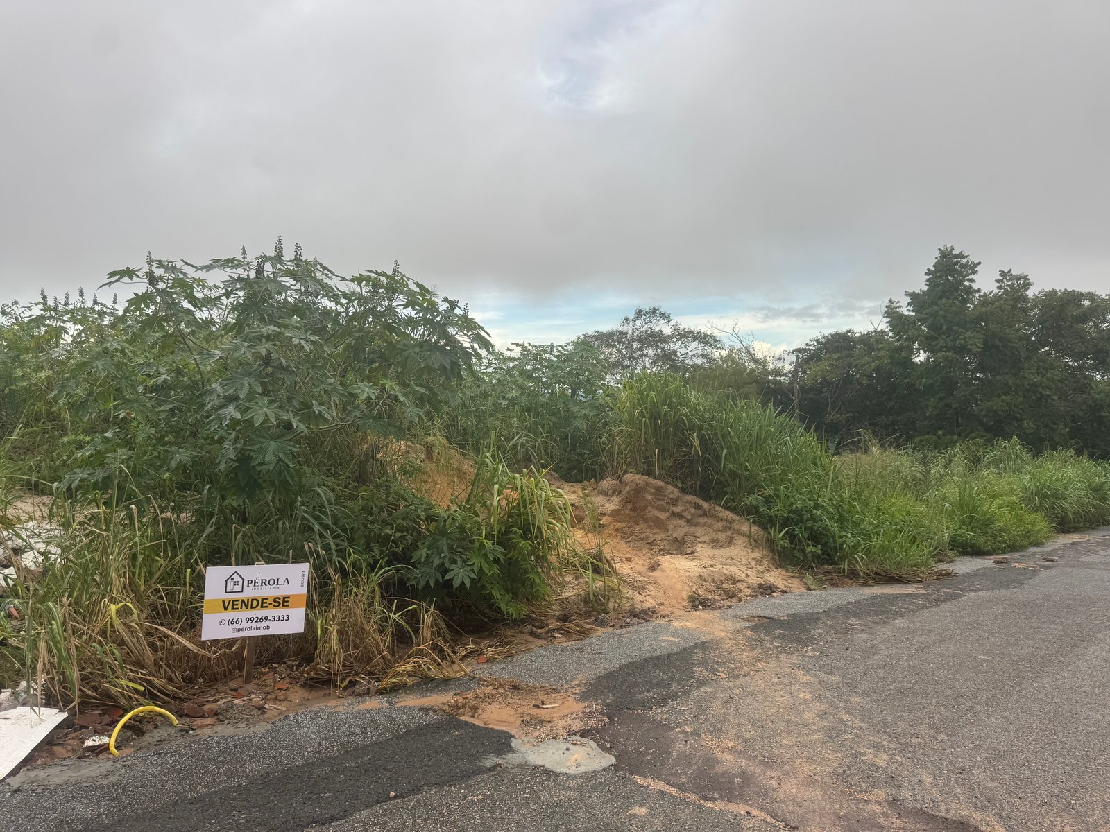 Lote no jardim Amazônia II